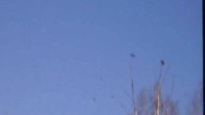 кроухантер