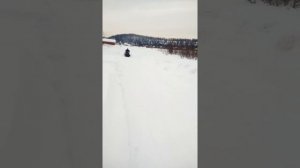 Бурлак экспедитор толкачь новый с изменением угла.