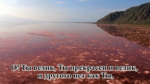 Прихожу к Тебе я с хвалою