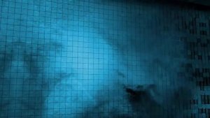 Квест комната Lost Сосновый Бор - Психбольница