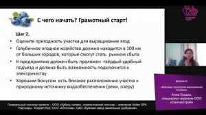Мировые технологии выращивания голубики. Часть 2: Закладка плантации голубики