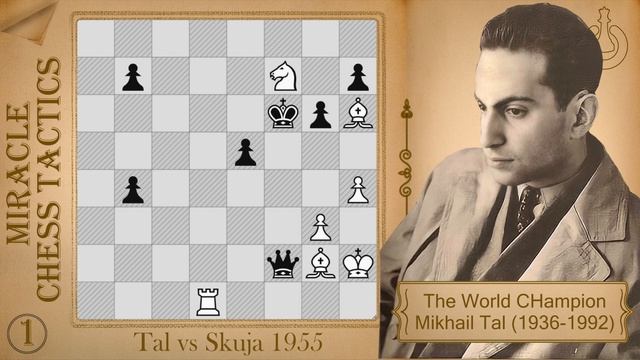 Miracle Chess Tactics! #1