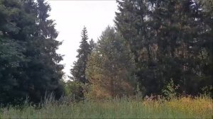 Запели песни, заиграли...(из к/ма "Стряпуха")