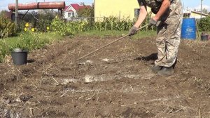 Чеснок. Двойная подкормка при посадке.