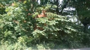 Переезд в Питер. Первые впечатления.