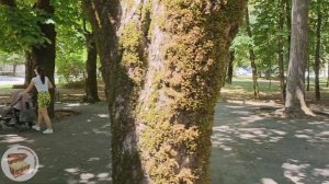 Цетинье,  август 2023