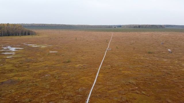 Верховое болото. Необычная прогулка. смотреть онлайн