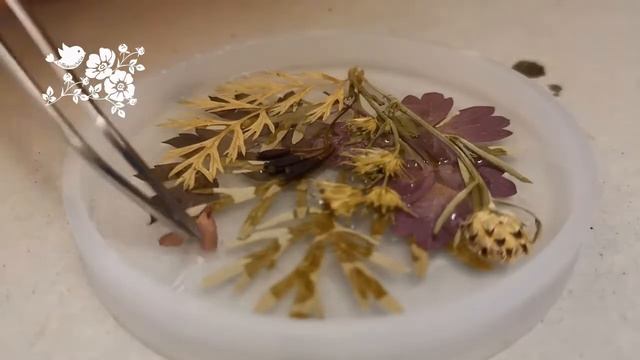 Сухоцветы в смоле / Украшение из эпоксидной смолы / DIY Пташечка смотреть онлайн