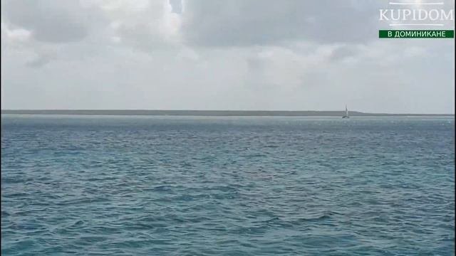 Прогулка на катамаране. Карибское море, Доминикана, осень 2020 года.
