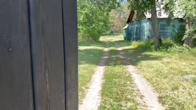 Куда поехать на выходные? Голубые озера, Черниговская область. Цены, развлечения, природа.
