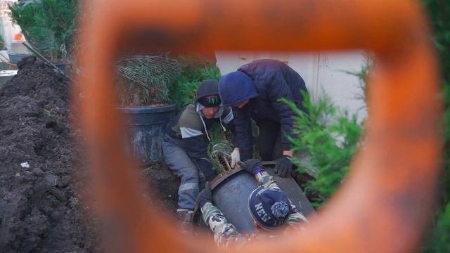 Высадка крупномеров