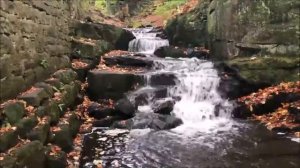 Общение между людьми Пятого измерения. Как будут общаться люди Пятого измерения?