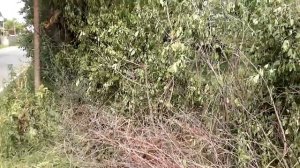Постройка забора своими руками изгородь на даче своими руками