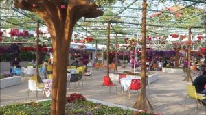 Miracle garden (Парк цветов и бабочек, Дубай) - ШАН ТУРС, ОАЭ #ШАНТУРС #ShanTours