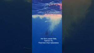 Дуа пророка Юнуса عليه اسلام  от трудностей.