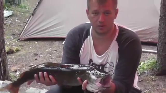 Алаев поймал Тайменя смотреть онлайн