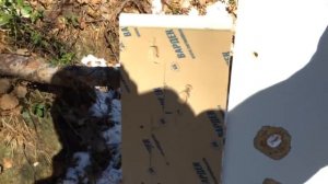 Новые патроны для ОСА ПБ 4-2