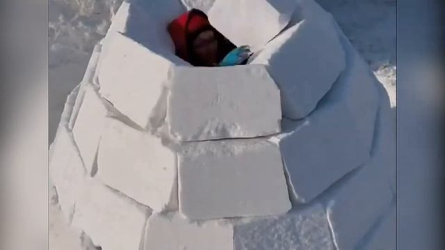 Как построить дом из снежных блоков