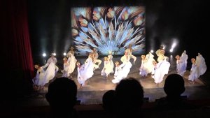 Шоу-балет "Тодес"  Прекрасное выступление