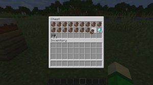 Minecraft 1.17 Duplication Glitches