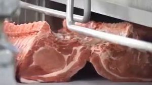 Frigoscandia ADVANTEC™. Предварительная подготовка и заморозка мяса