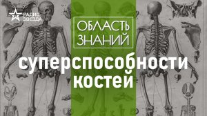 Что общего у наших костей и Эйфелевой башни? Лекция биолога Сергея Подковальникова.