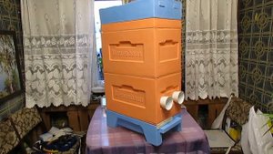 6 рамочный улей биненхаус , двухкорпусной улей на данановскую рамку, для работы весною на мед