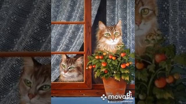 загадка смотреть онлайн