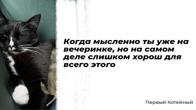 Когда мысленно ты уже на вечеринке, но на самом деле слишком хорош для всего этого ?