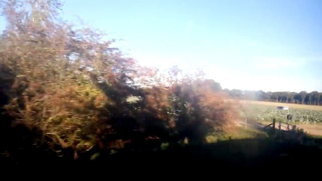 Частные дома и фермы Нидерланд смотреть онлайн