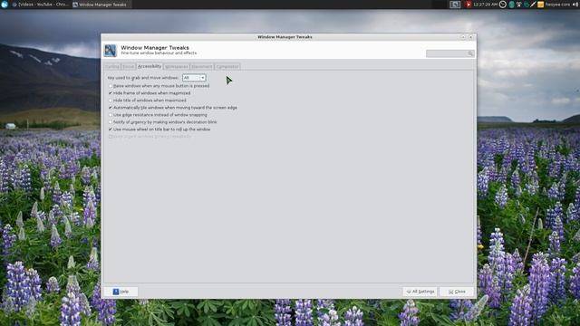 Xfwm4 Zoom Desktop - Zoom In and Out - Linux XFCE смотреть онлайн