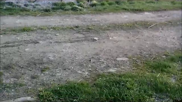 Майский влог с дачи||Садим картошку,ловим головастиков,гуляем|| Надя Филатова♥ смотреть онлайн