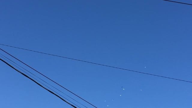 Как должны летать бойные голуби.часть 1.