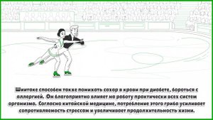 Что лечит гриб Шиитаке?