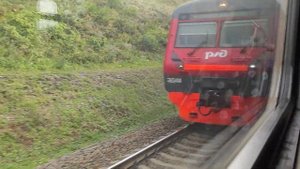 Электропоезд ЭД4М-0419 "Кузнецкий Экспресс" на перегоне Новосибирск-Южный - Разъезд Иня