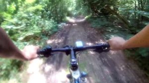 катание по лесу. Corratec Xvert motion 650