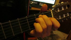 Показ аккордов Кони Привередливые Высоцкого