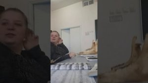 Как определяется возраст лошади