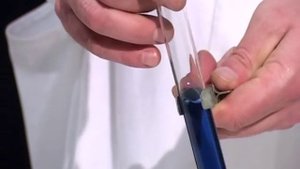 реакция крахмала с йодом