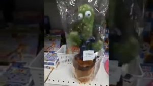 Танцующий кактус