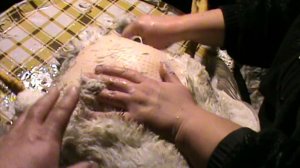 Ощип гусей парогенератором