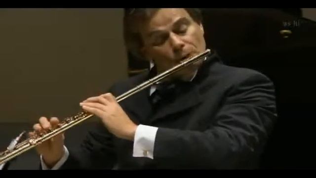Andrea Griminelli from Japan Bizet's Carmen Flute Recital смотреть онлайн
