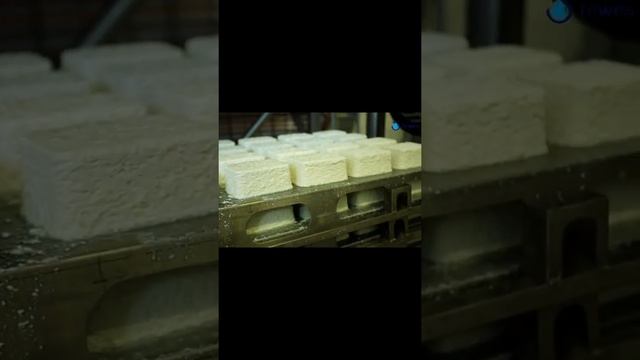 17 января 2020 г. смотреть онлайн