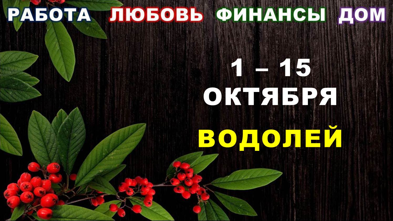 ♒ ВОДОЛЕЙ. ? С 1 по 15 ОКТЯБРЯ 2023 г. ✅️ Главные сферы жизни. ? Таро-прогноз ?