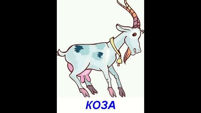 Видео для малышей - Домашние животные