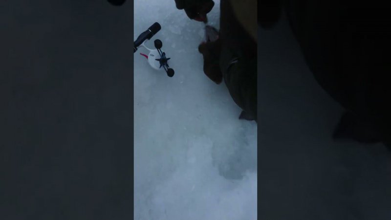 На семечку