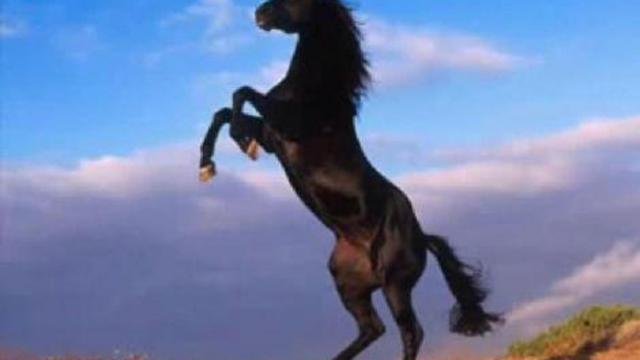 Сохраним и приумножим