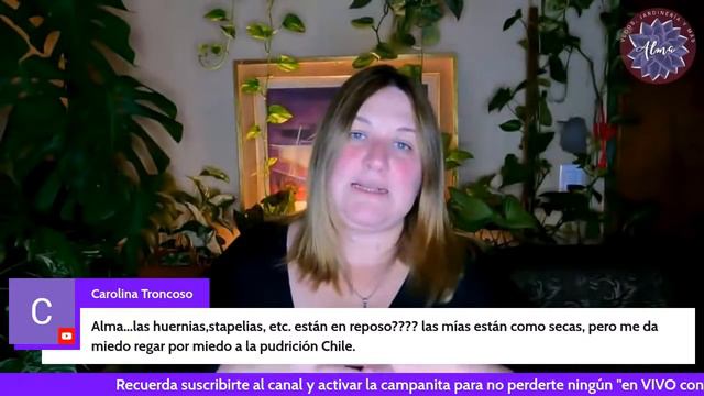 charlamos de SUCULENTAS en VIVO con ALMA XXXL смотреть онлайн