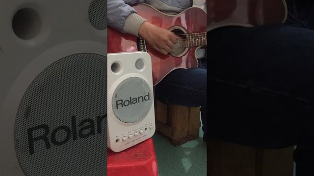 Tes Amli Roland monitor Ma-B смотреть онлайн