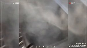 Чистим рыбу кипятком!? Результат Вас удивит!